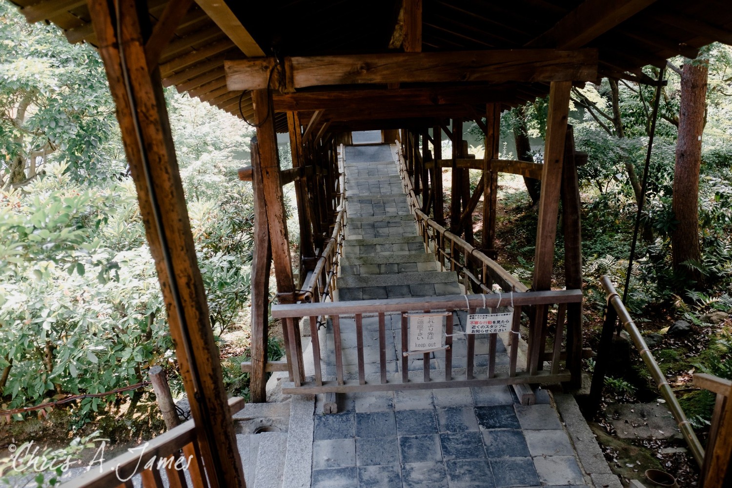 Kyoto - Chris A James