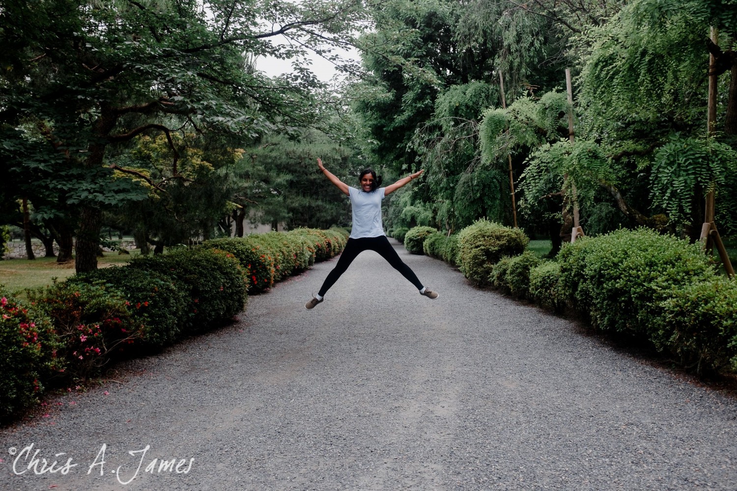 Kyoto - Chris A James