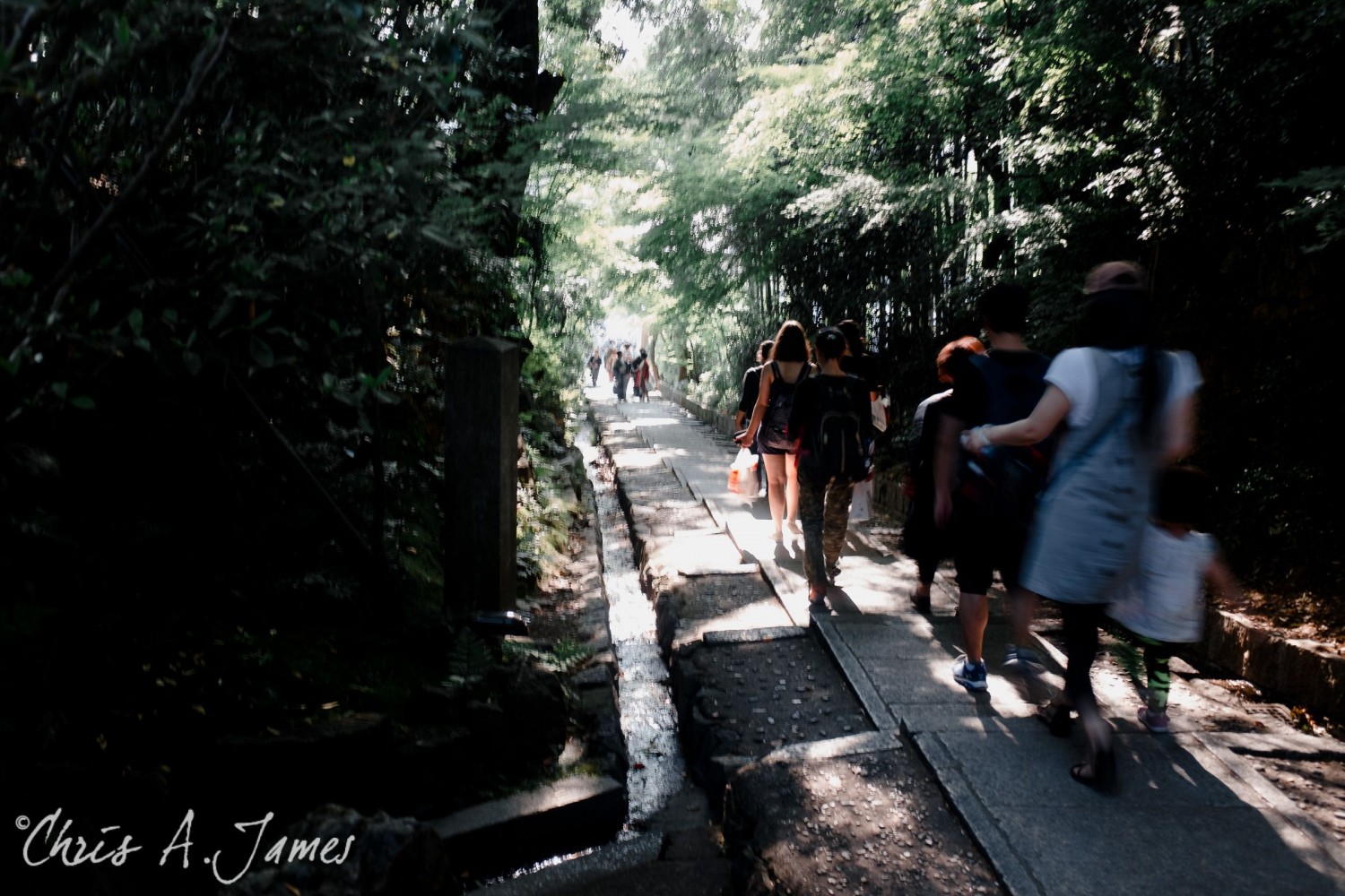 Kyoto - Chris A James