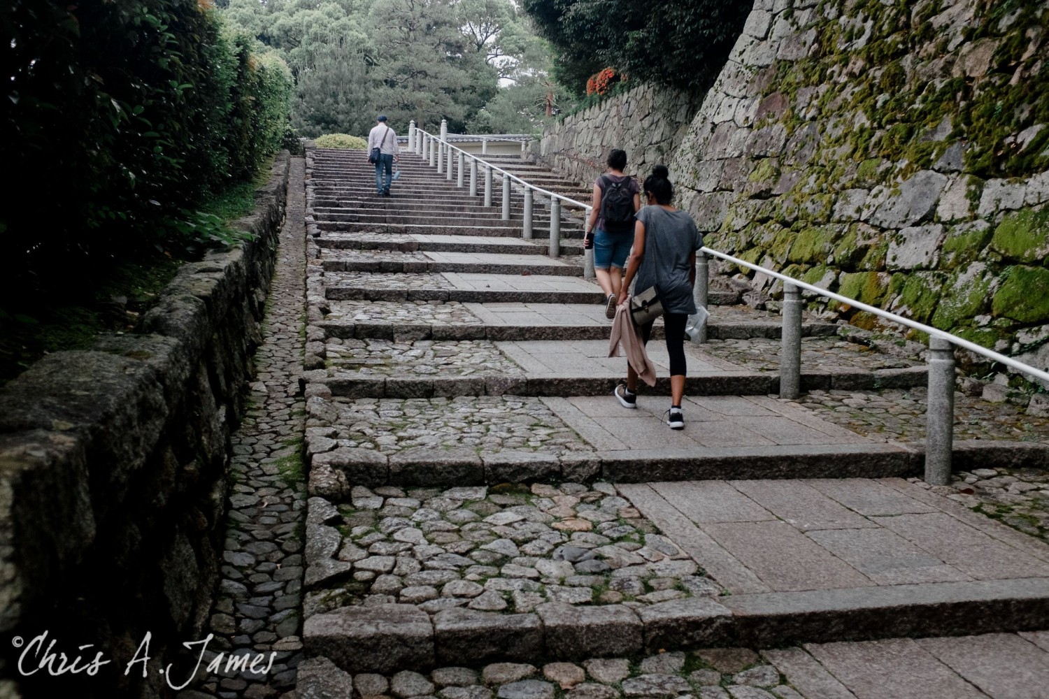 Kyoto - Chris A James