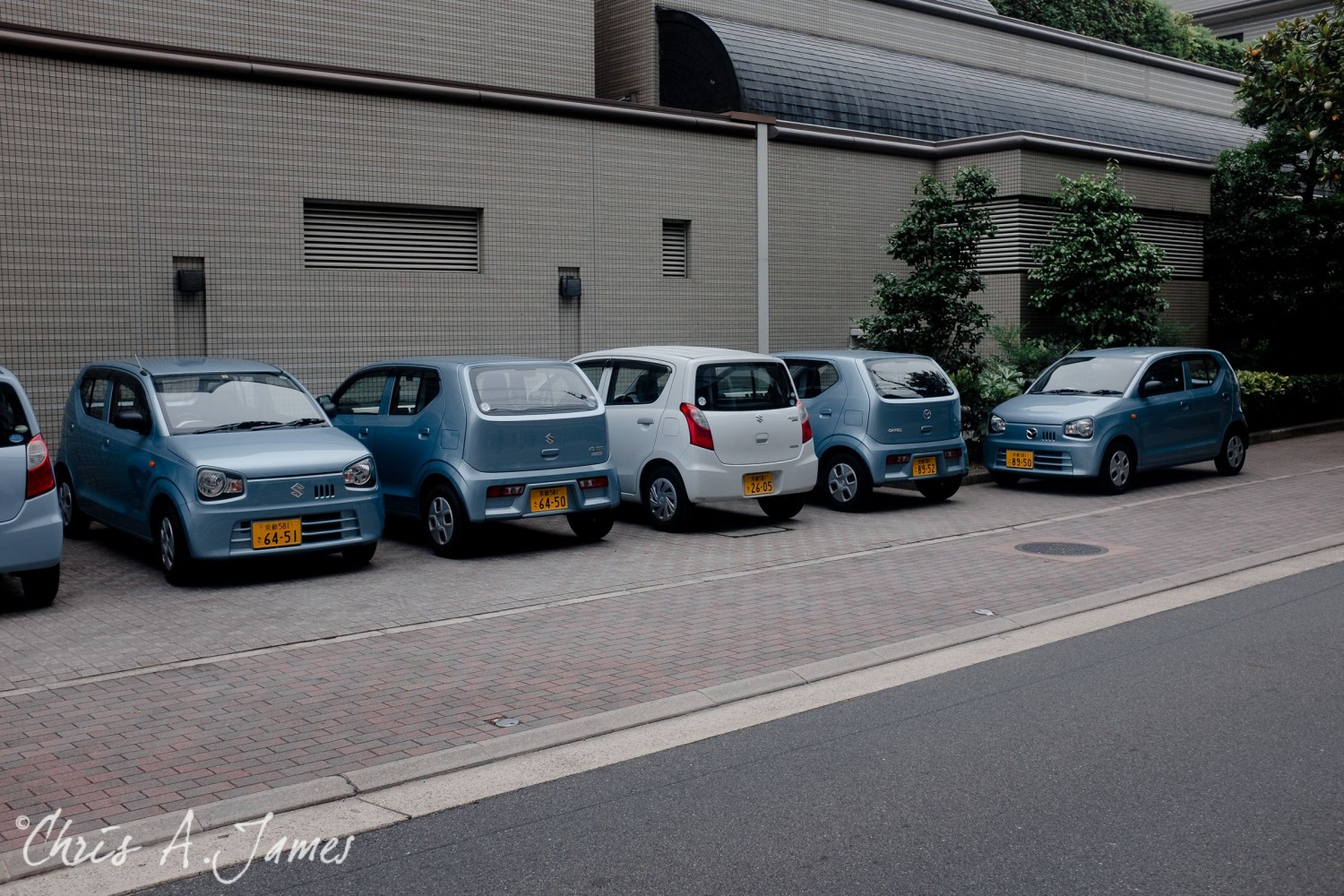 Kyoto - Chris A James