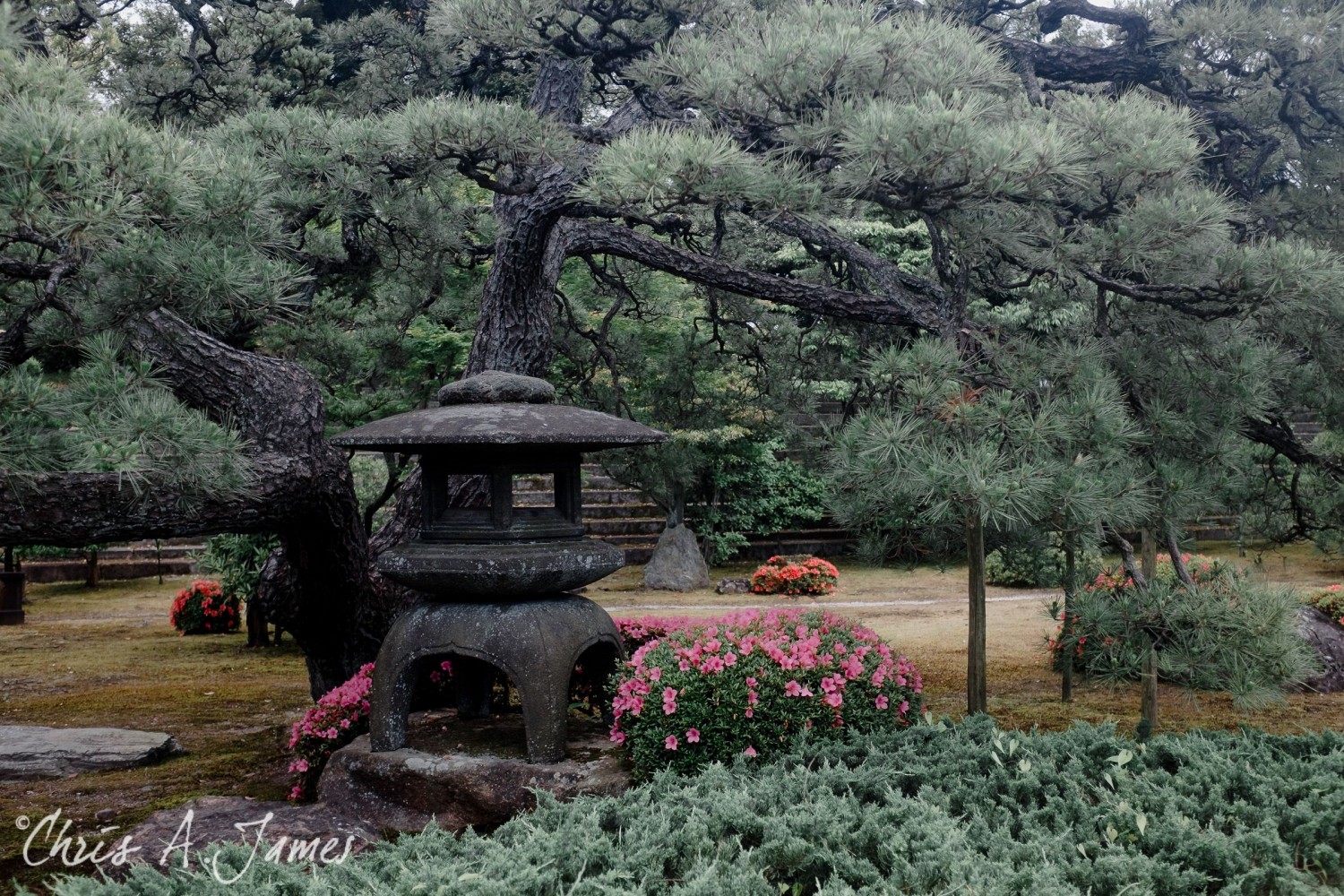 Kyoto - Chris A James