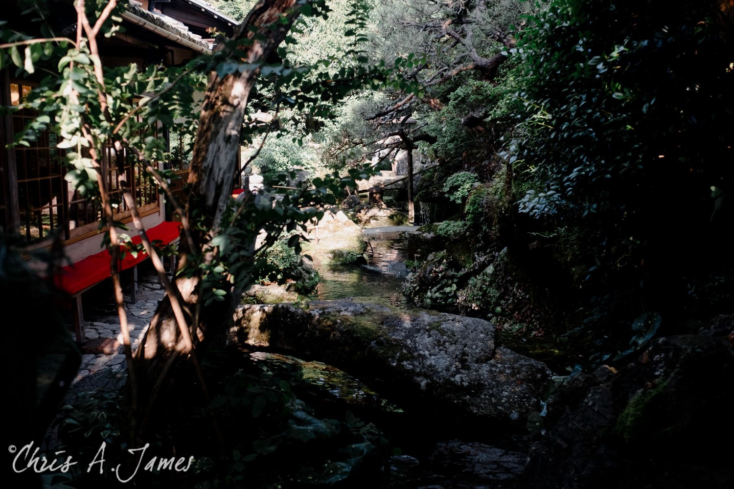 Kyoto - Chris A James