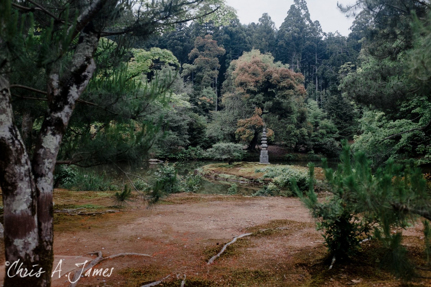 Kyoto - Chris A James