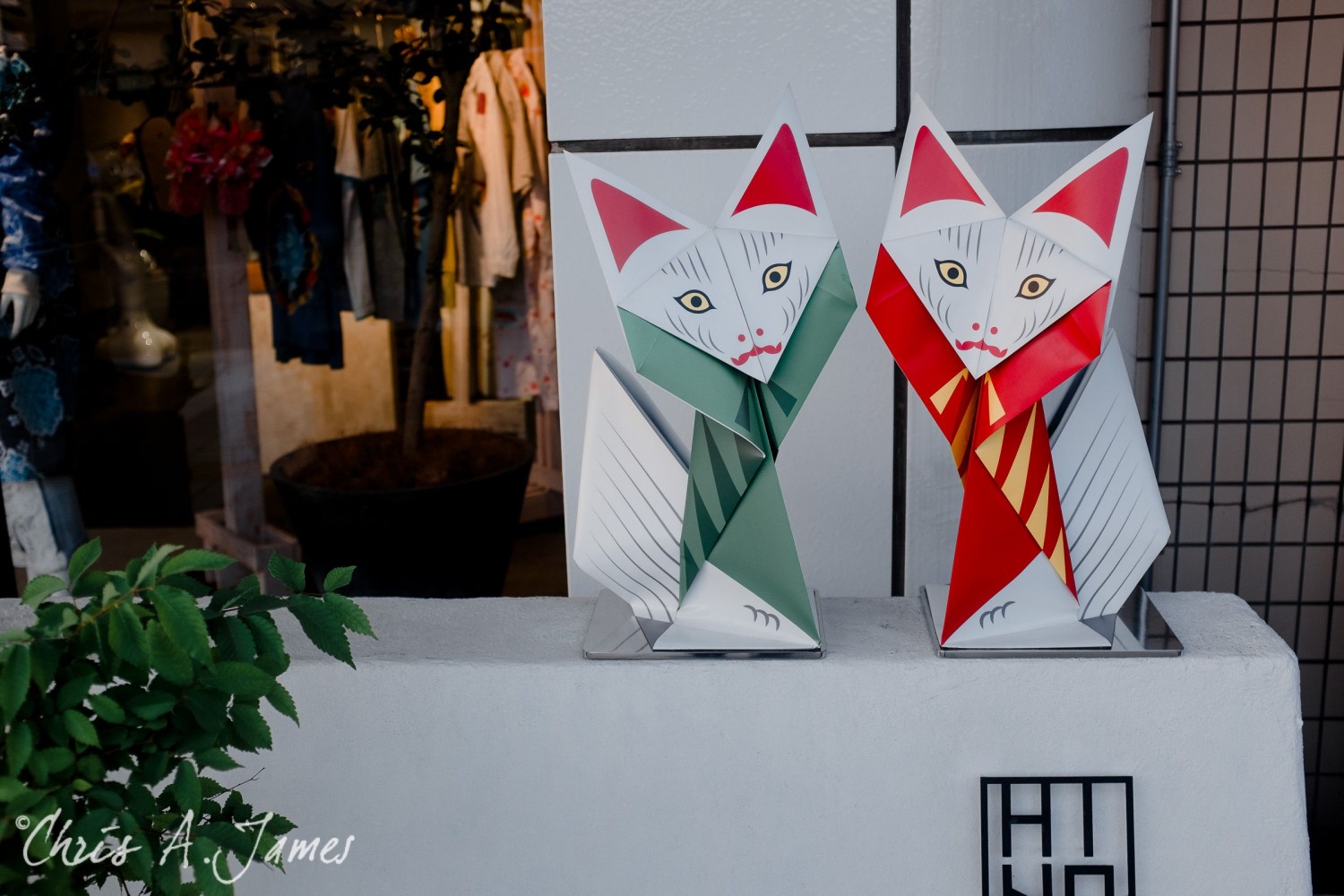 Kyoto - Chris A James