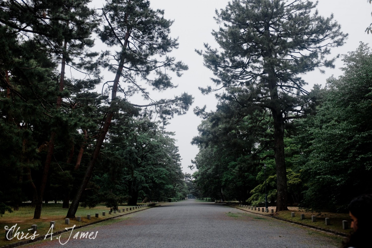 Kyoto - Chris A James