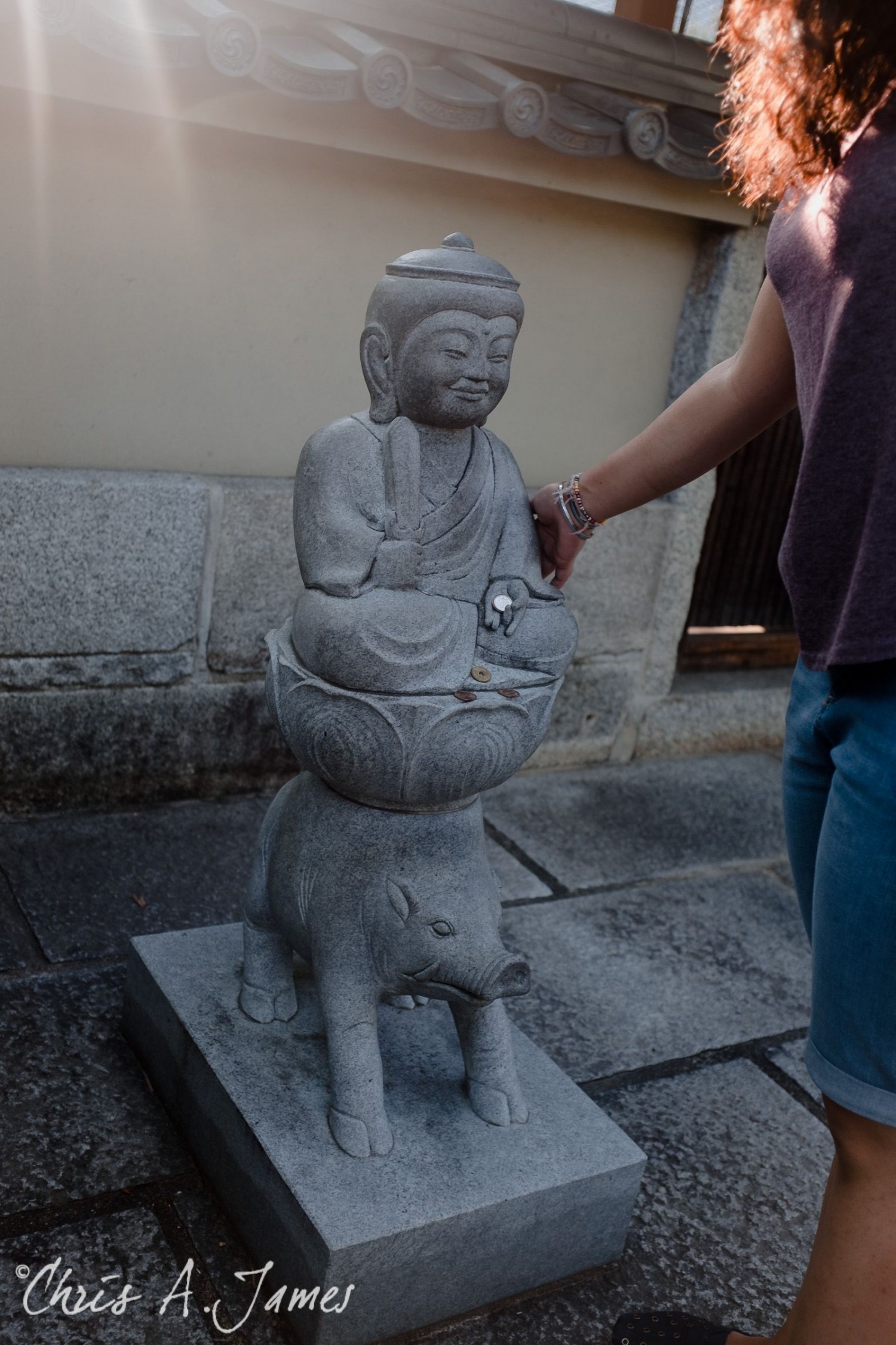 Kyoto - Chris A James