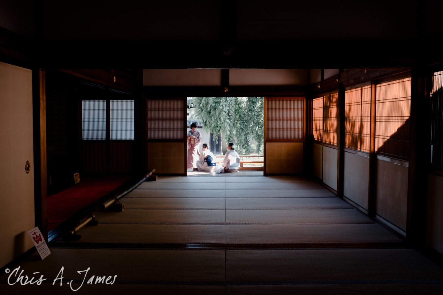 Kyoto - Chris A James