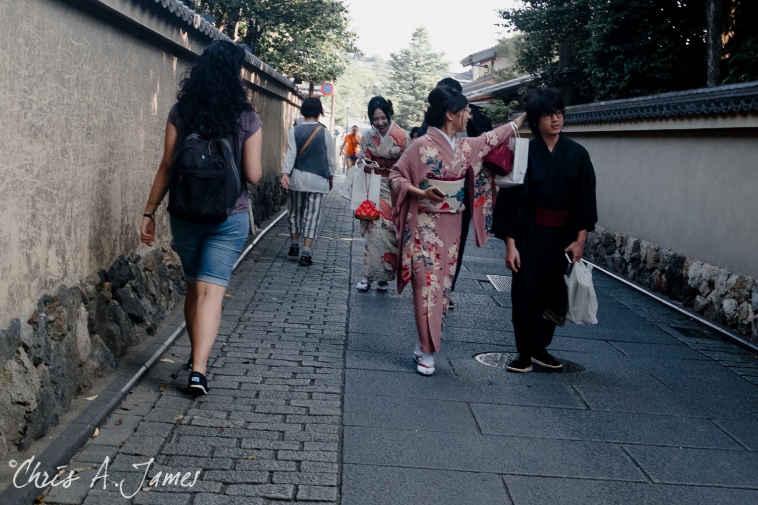 Kyoto - Chris A James