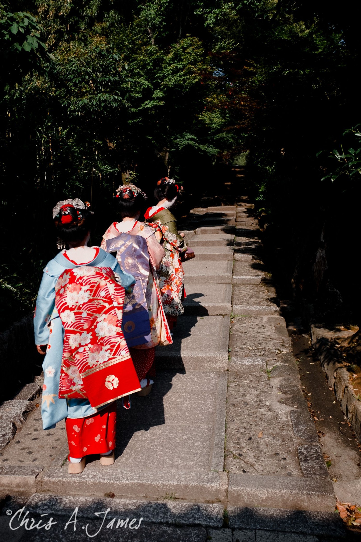 Kyoto - Chris A James