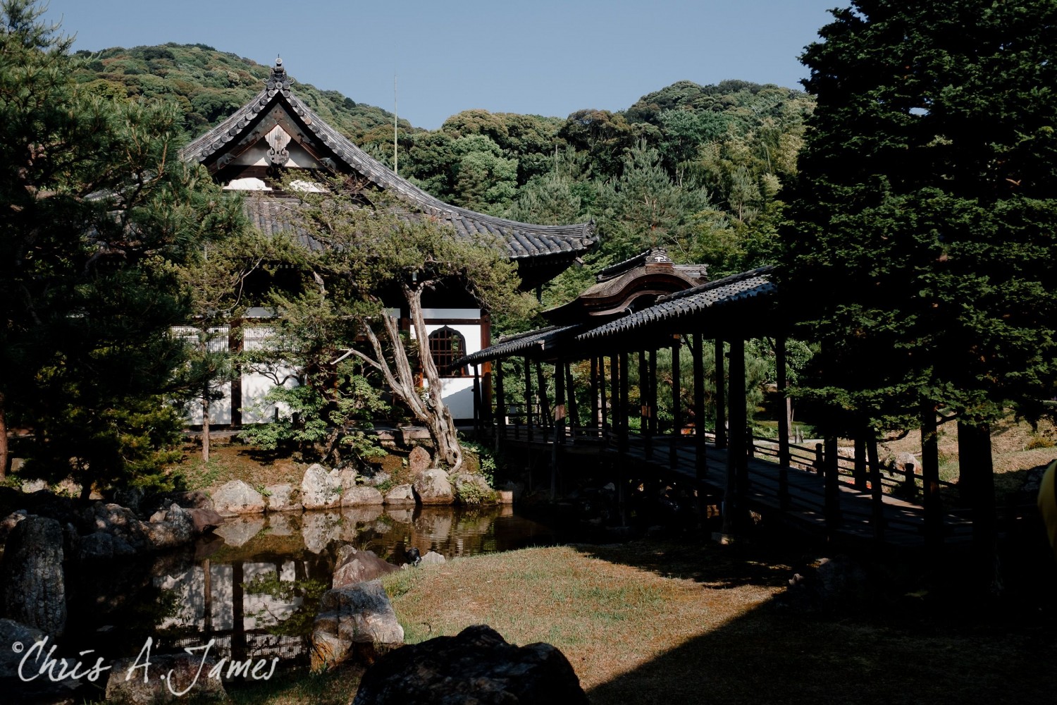 Kyoto - Chris A James