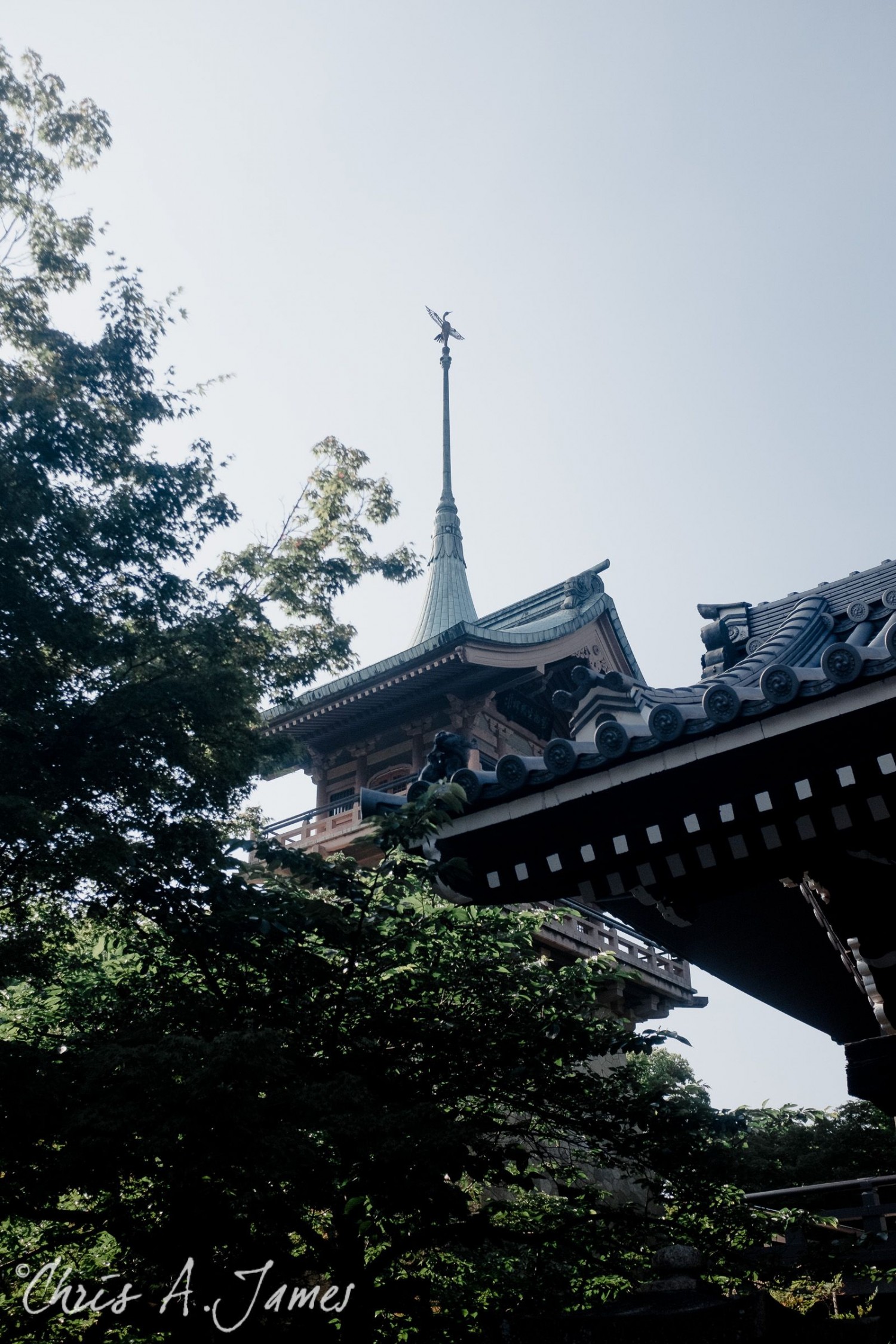 Kyoto - Chris A James