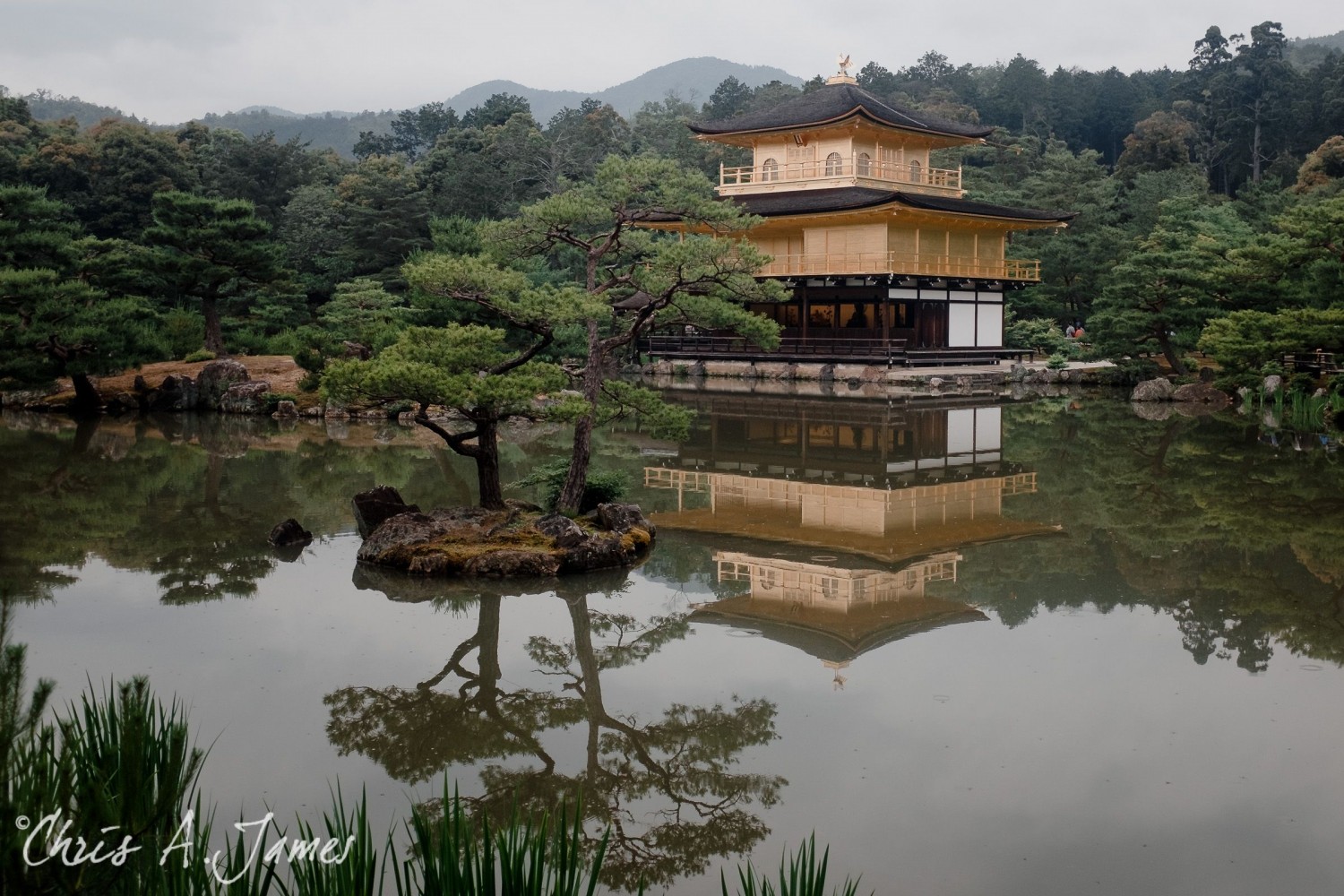 Kyoto - Chris A James