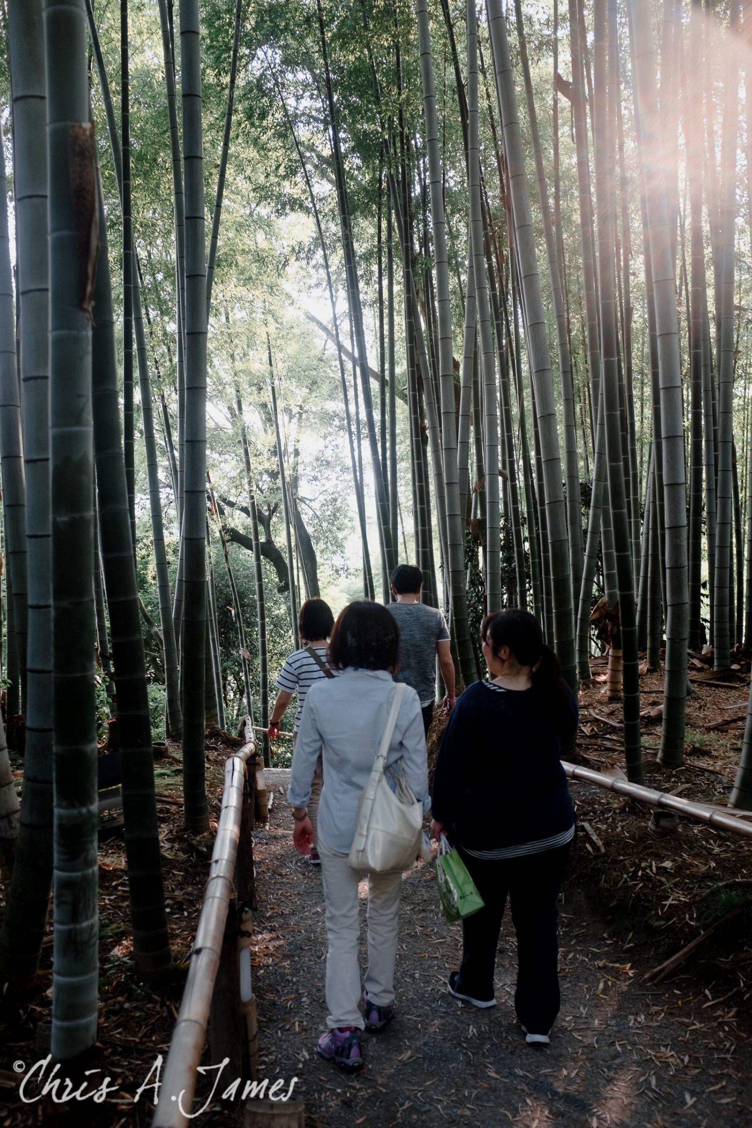 Kyoto - Chris A James