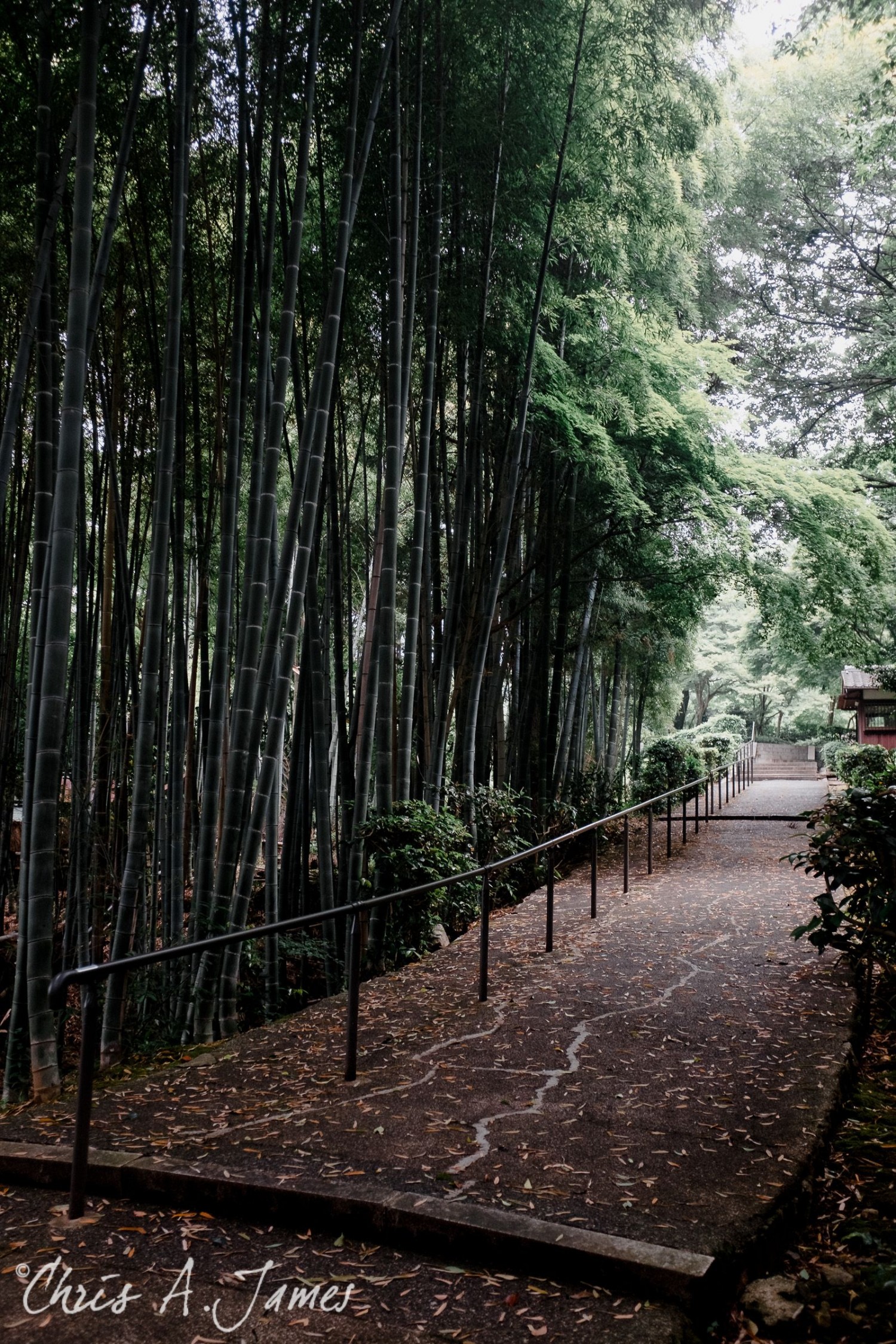 Kyoto - Chris A James