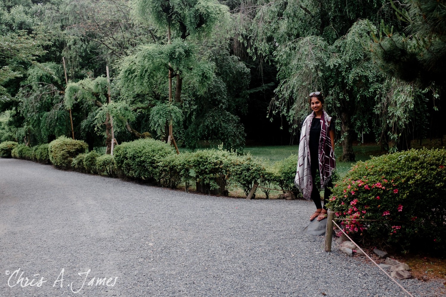 Kyoto - Chris A James