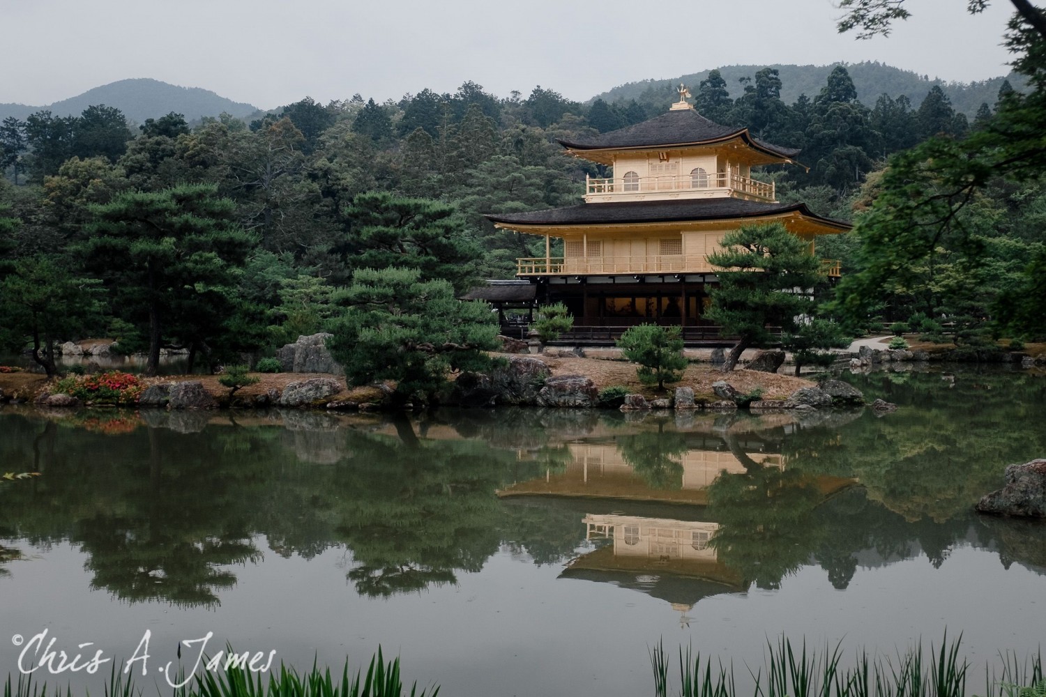 Kyoto - Chris A James