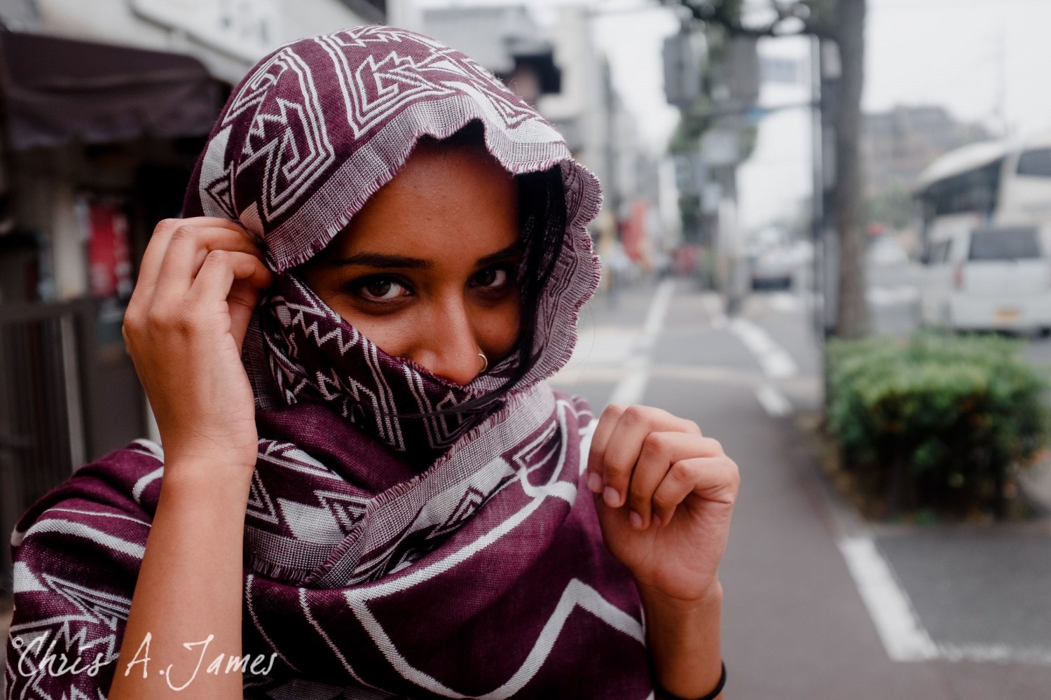 Kyoto - Chris A James