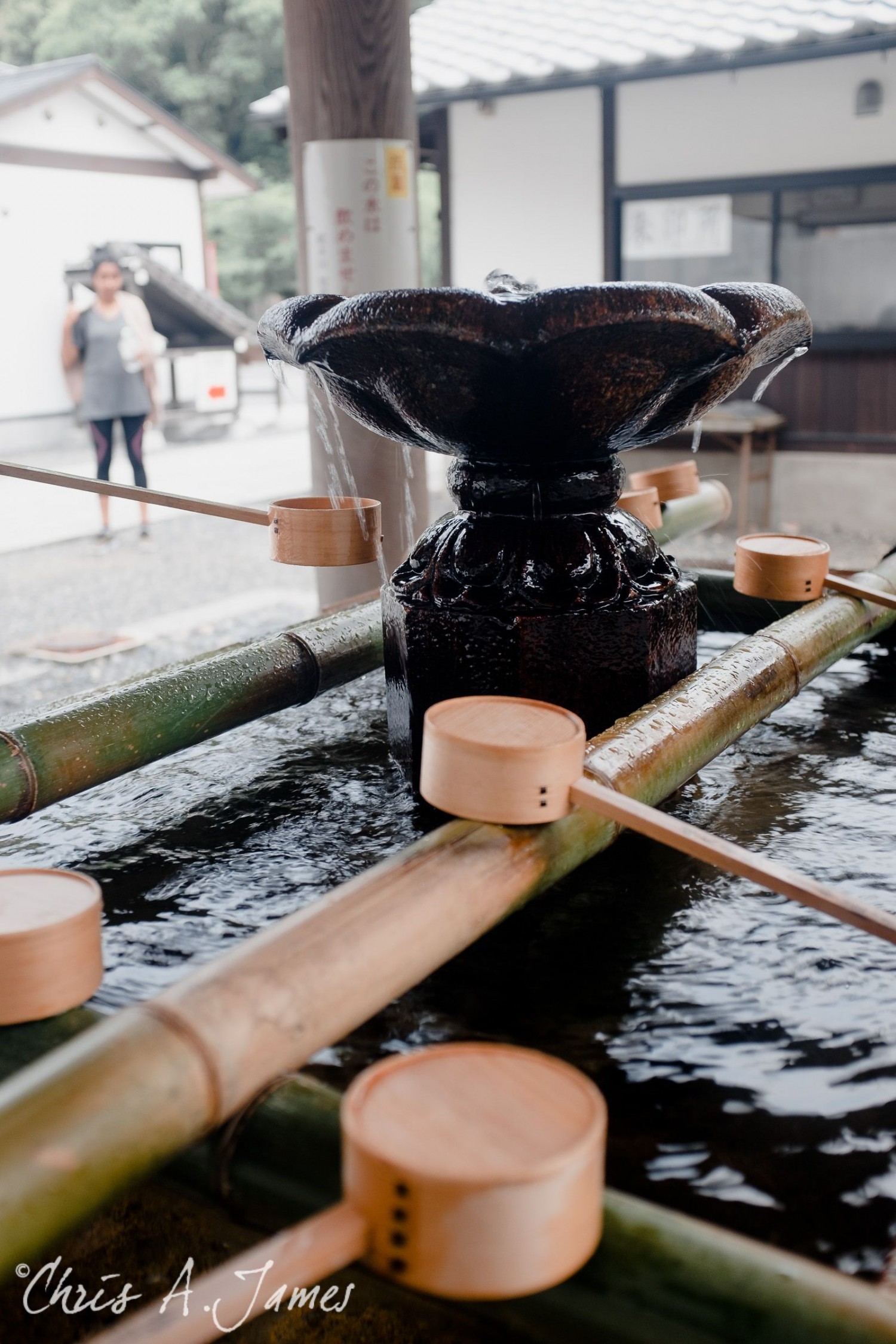 Kyoto - Chris A James