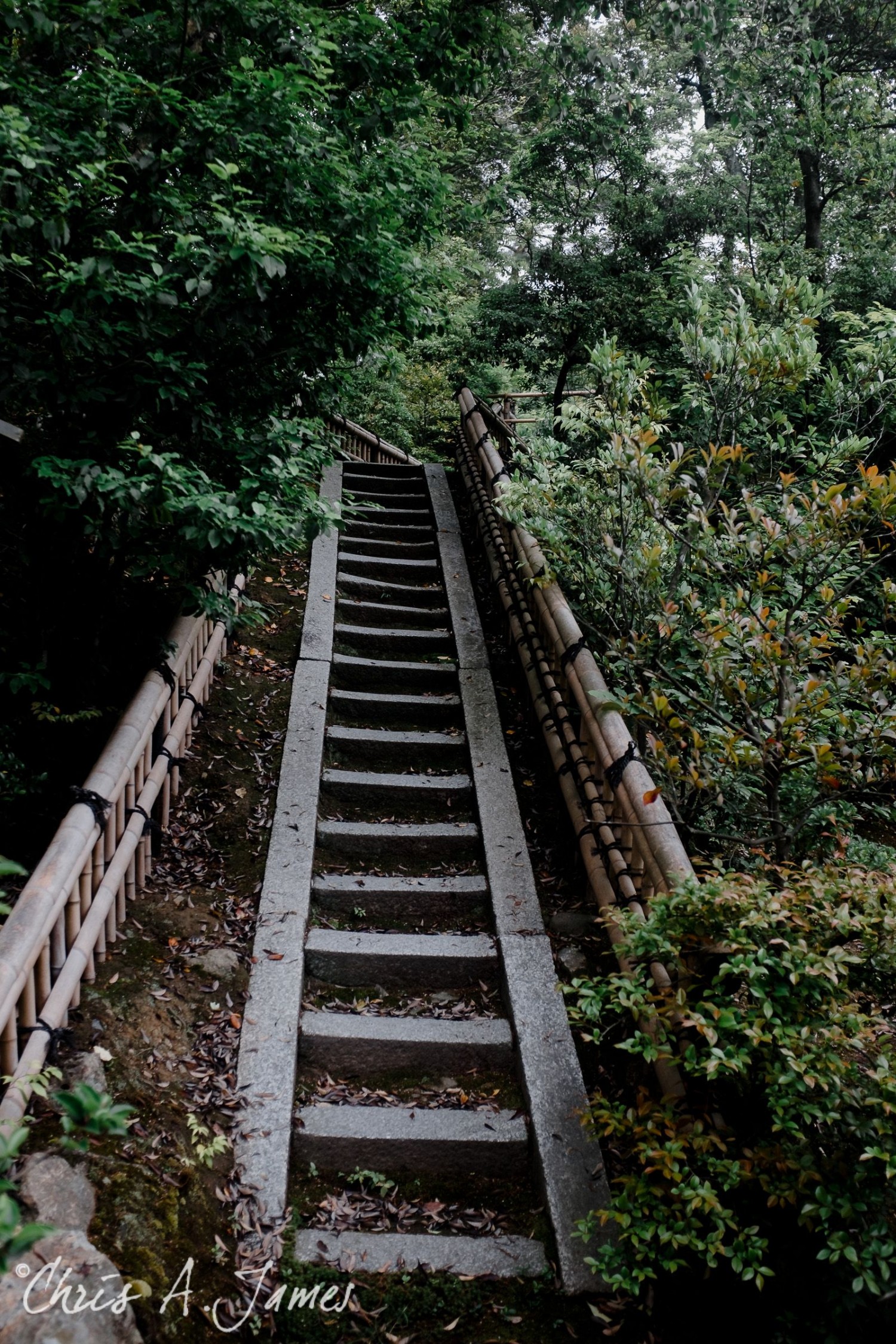 Kyoto - Chris A James