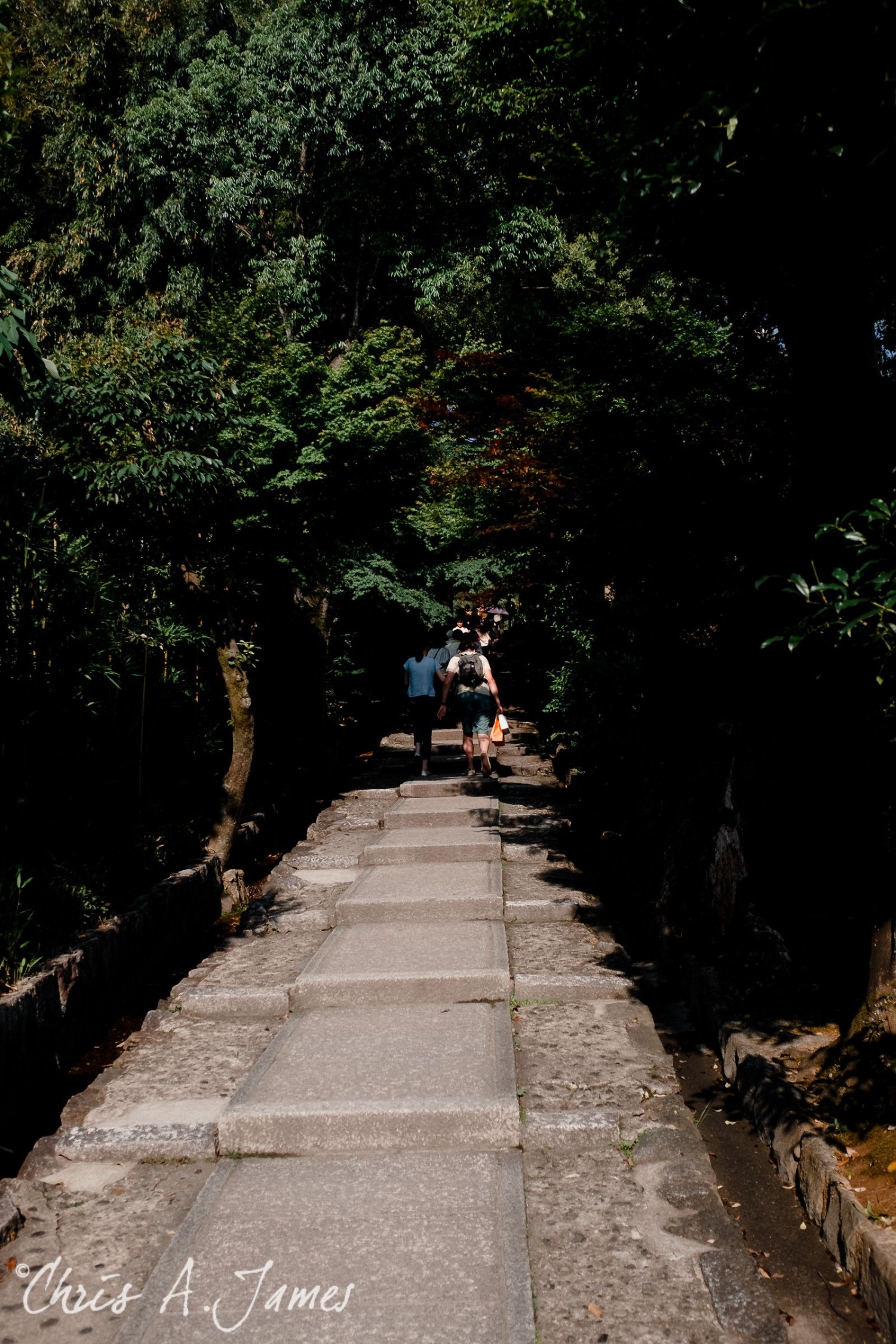Kyoto - Chris A James