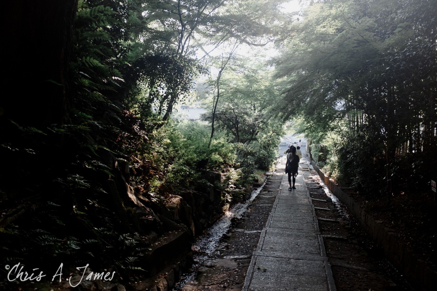 Kyoto - Chris A James