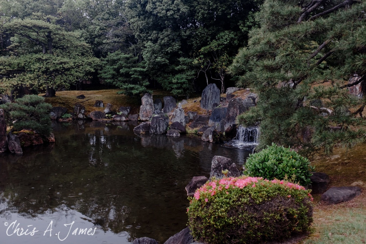 Kyoto - Chris A James