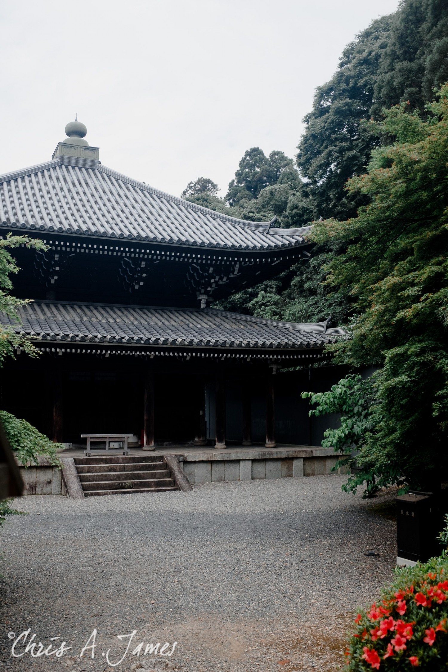 Kyoto - Chris A James