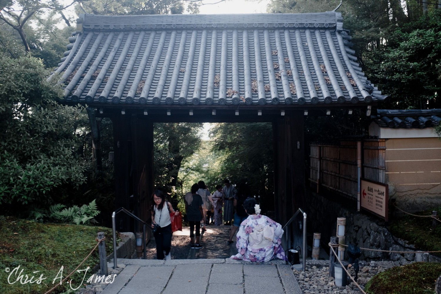 Kyoto - Chris A James