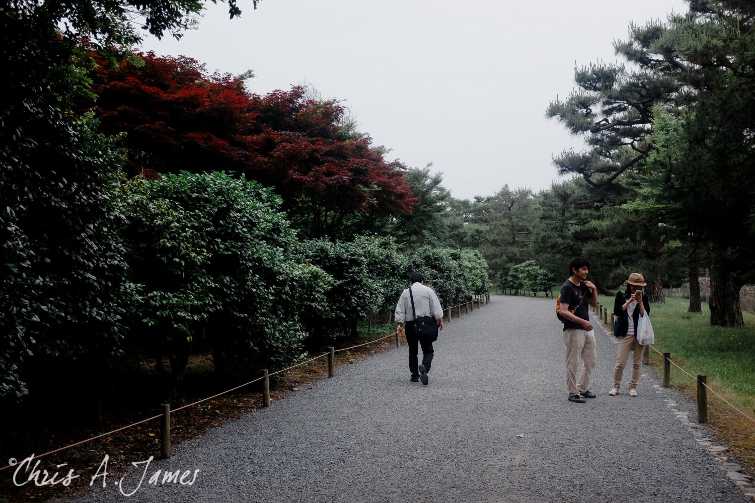 Kyoto - Chris A James