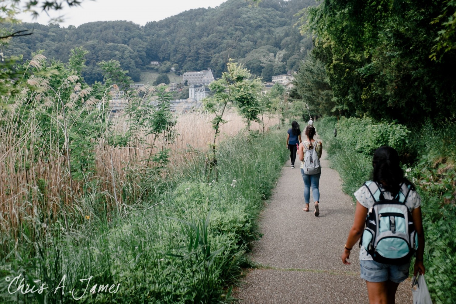 Lake Kawaguchiko - Chris A James