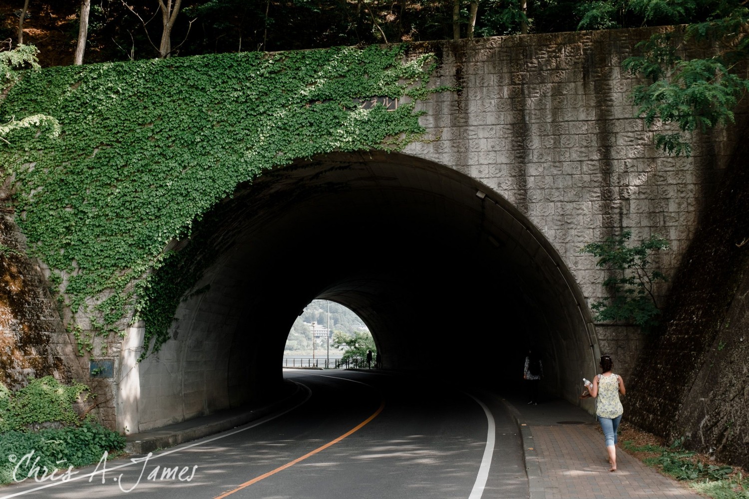 Lake Kawaguchiko - Chris A James