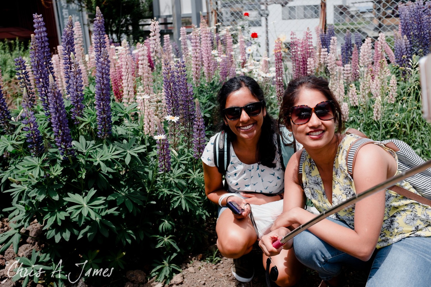 Lake Kawaguchiko - Chris A James