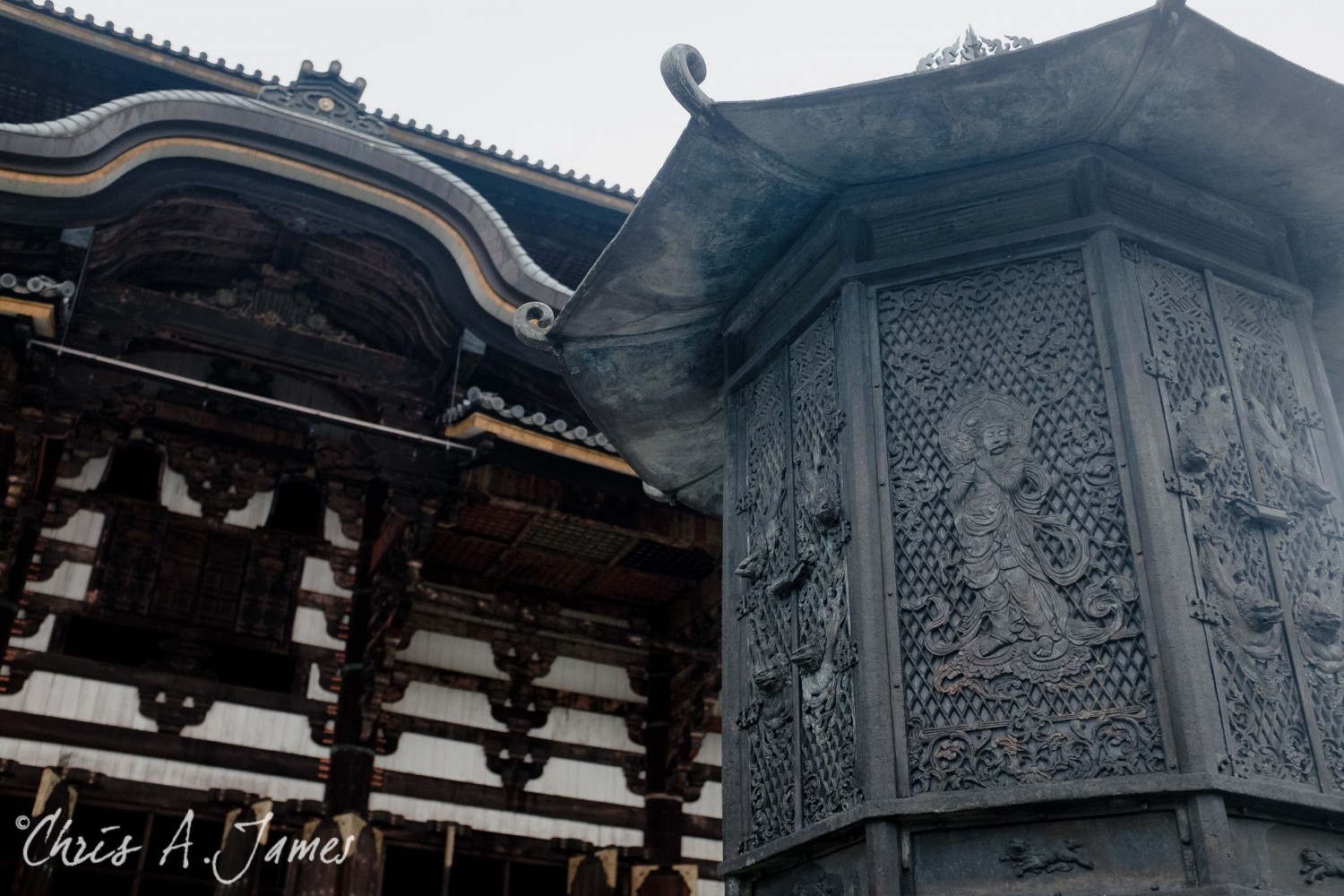 Nara - Chris A James