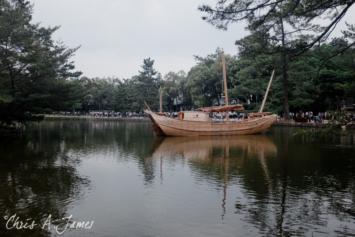 Nara - Chris A James