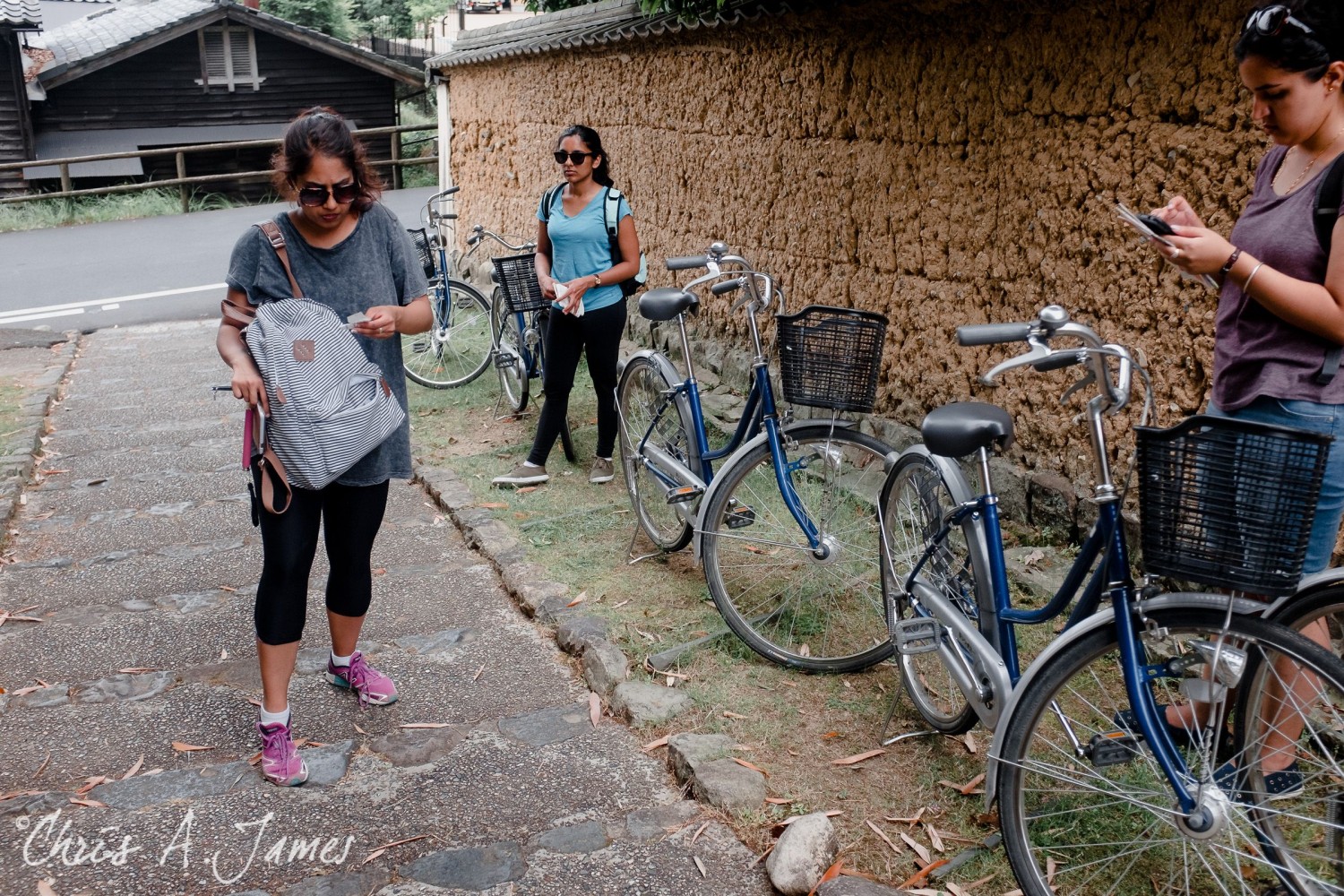 Nara - Chris A James