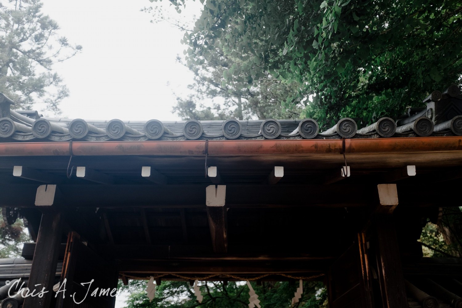 Nara - Chris A James