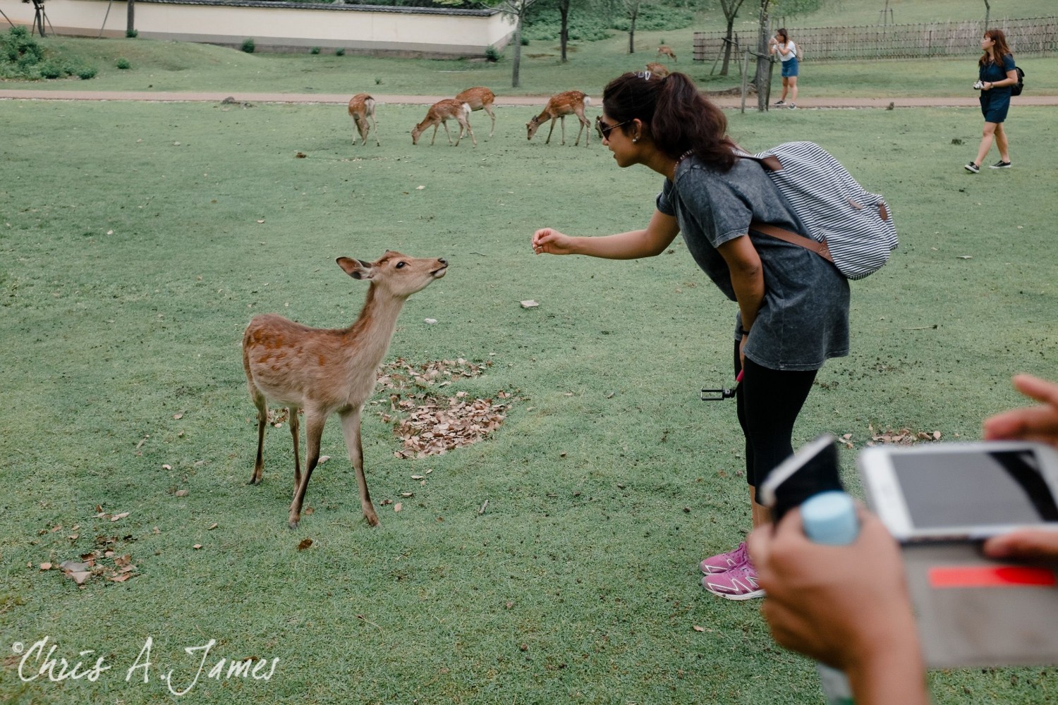 Nara - Chris A James