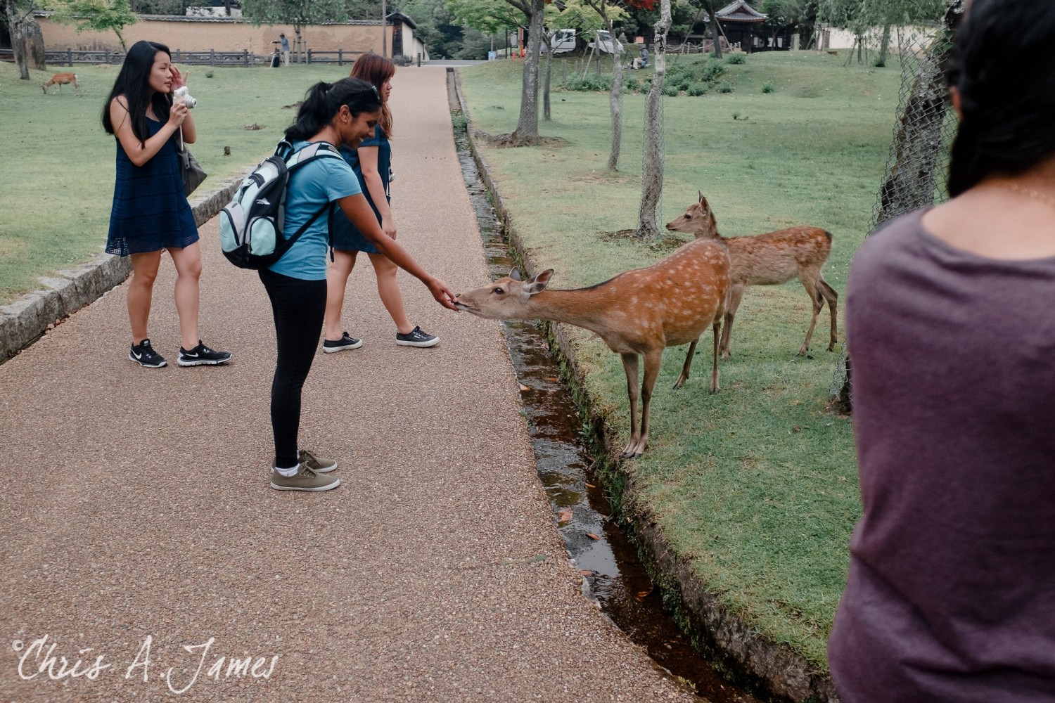 Nara - Chris A James
