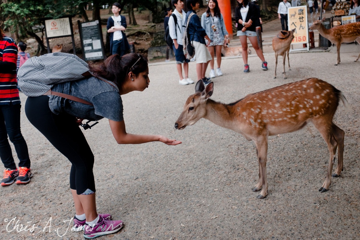 Nara - Chris A James