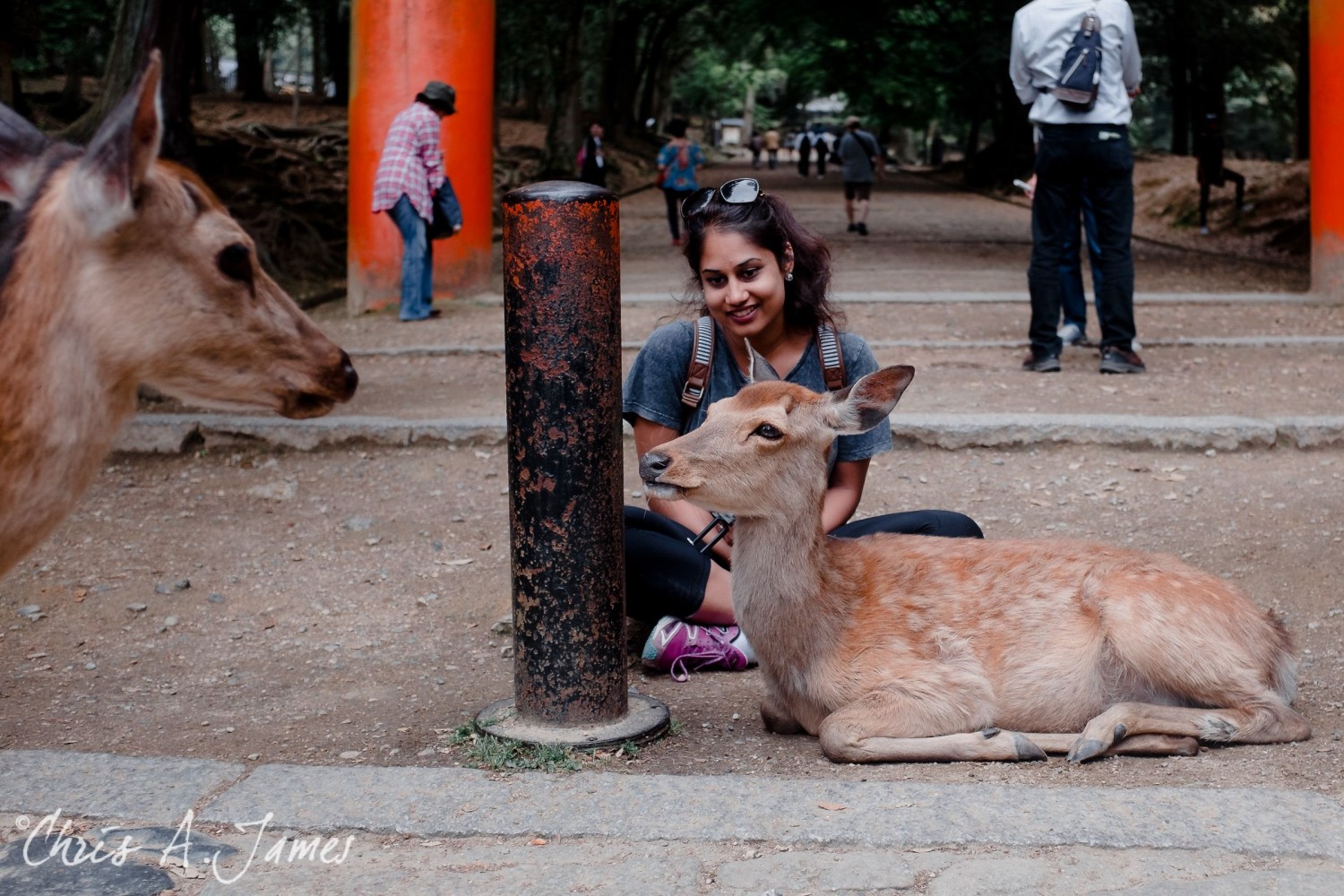 Nara - Chris A James