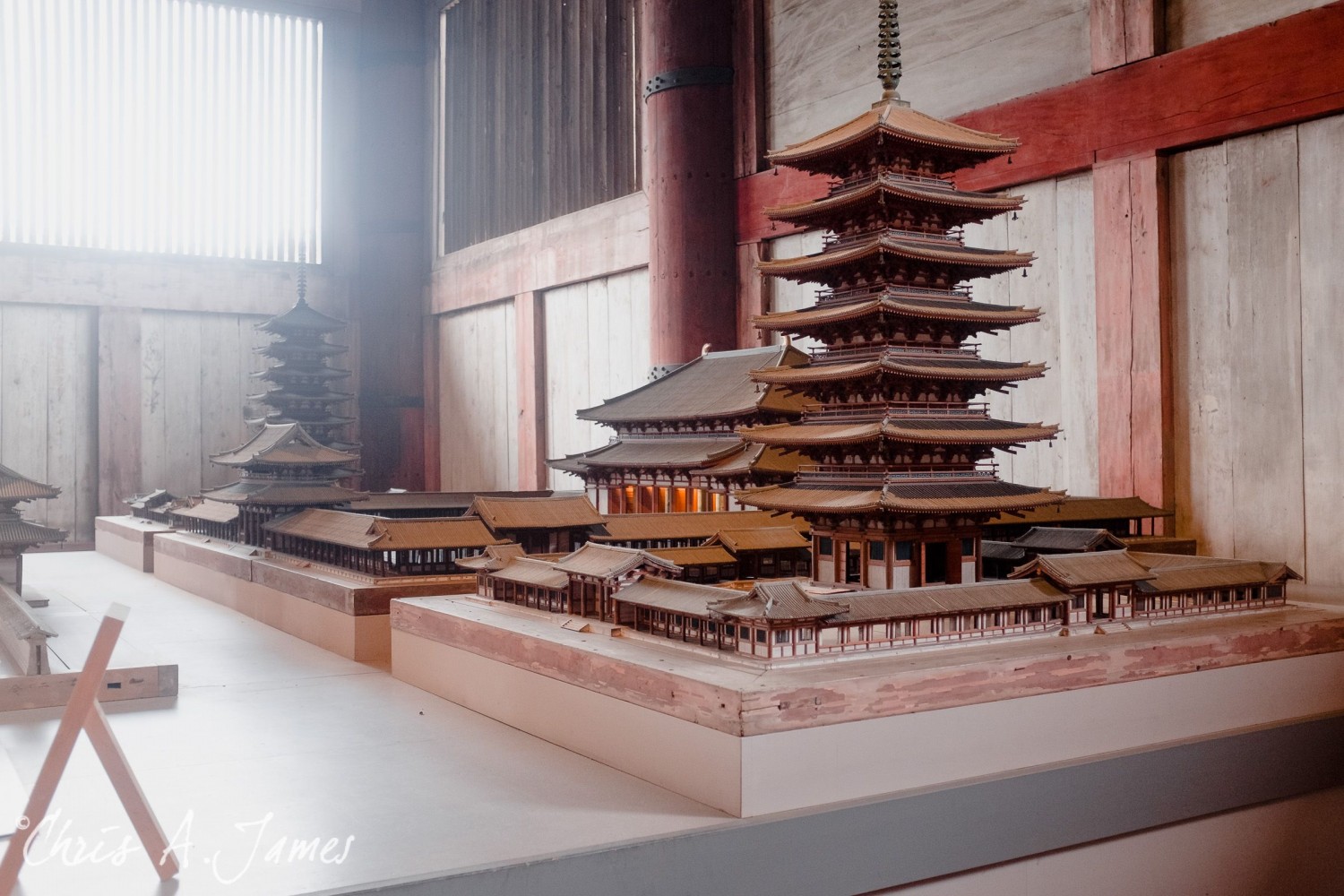 Nara - Chris A James