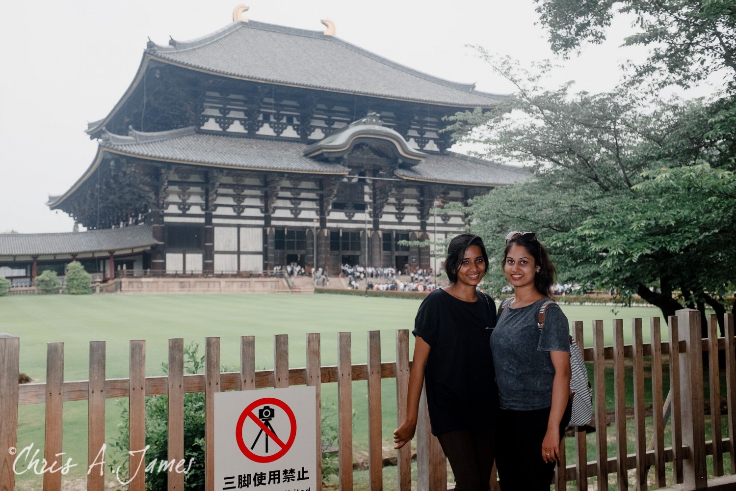 Nara - Chris A James