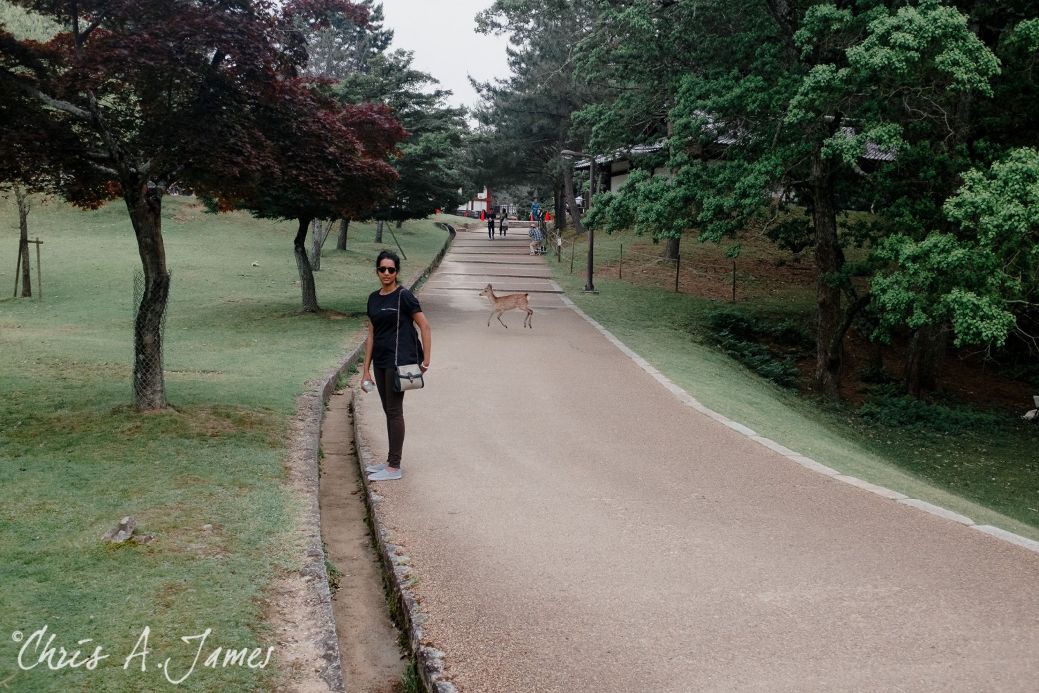 Nara - Chris A James