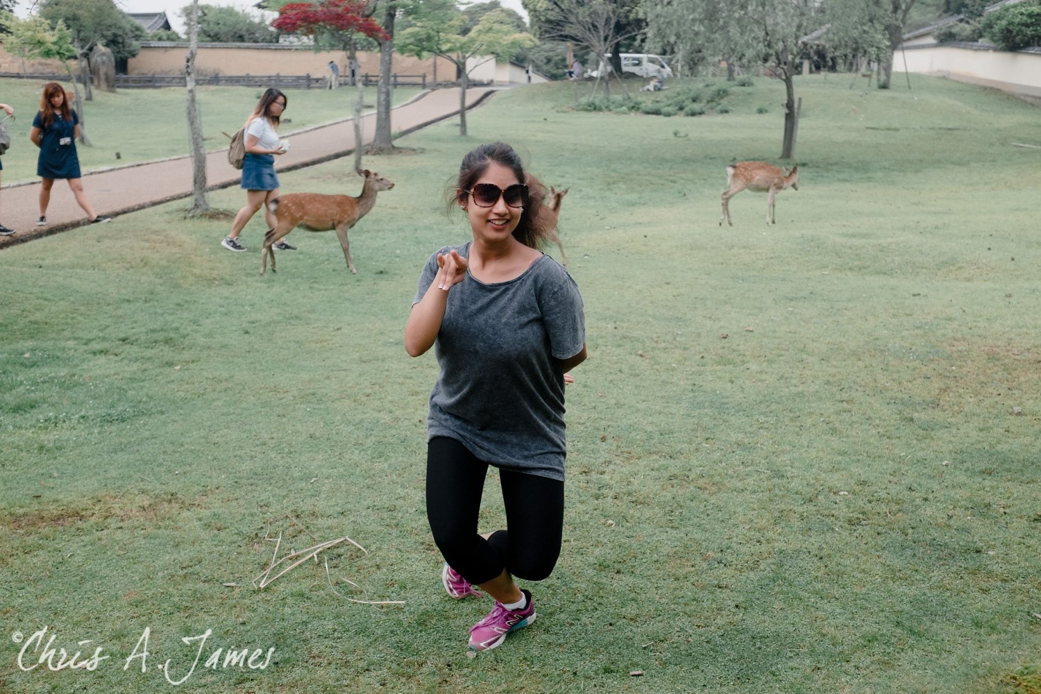 Nara - Chris A James