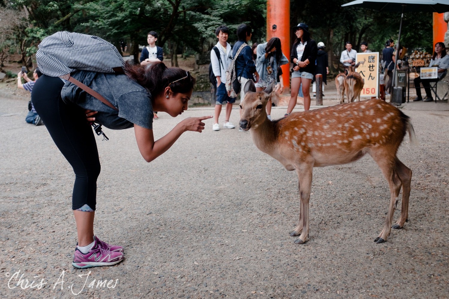 Nara - Chris A James