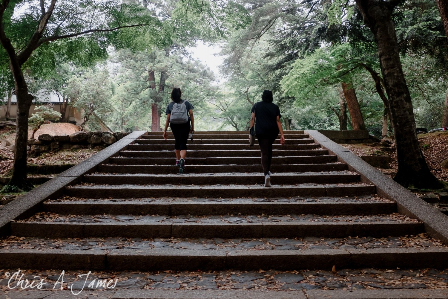 Nara - Chris A James