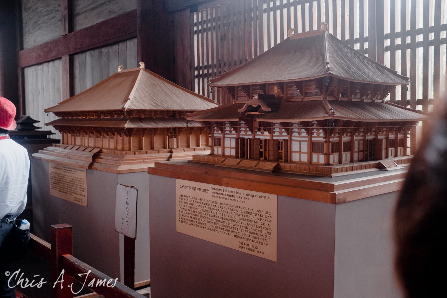 Nara - Chris A James