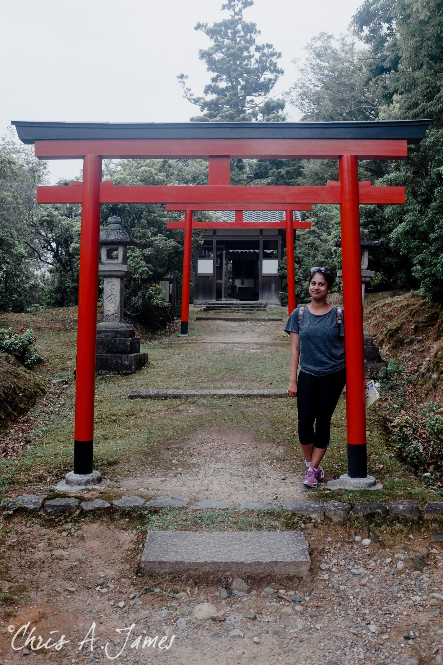 Nara - Chris A James