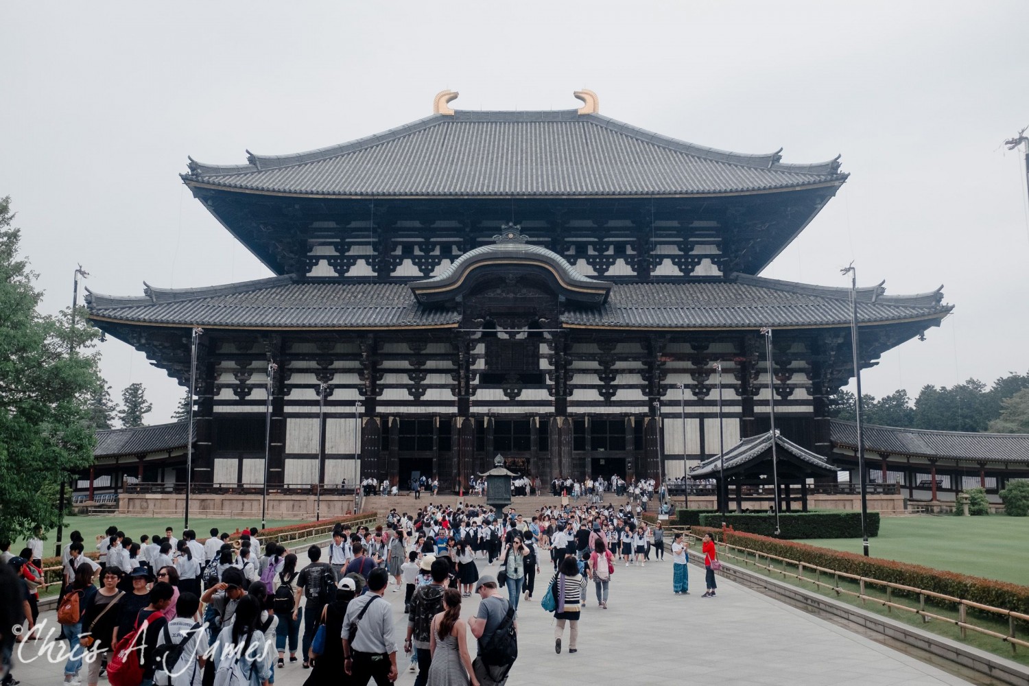 Nara - Chris A James